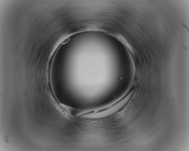X0000098131148200804241643