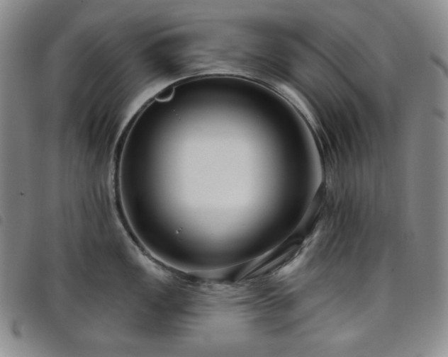 X0000098131149200804241643