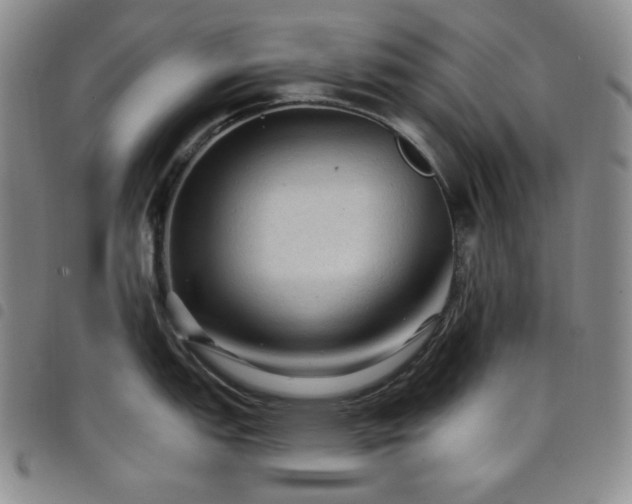 X0000098131151200804241643