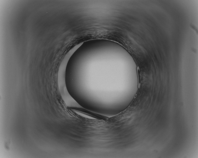 X0000098131153200804241642