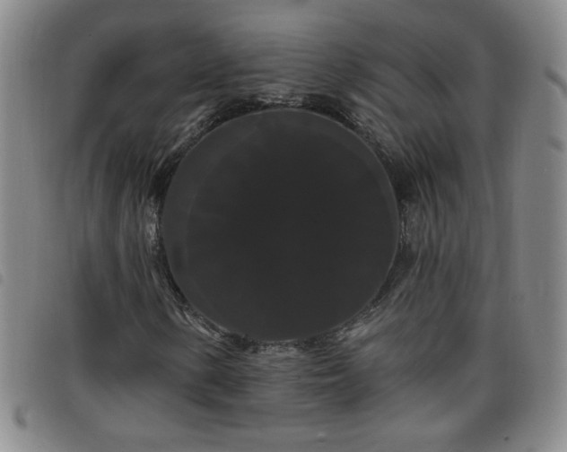 X0000098131154200804241642