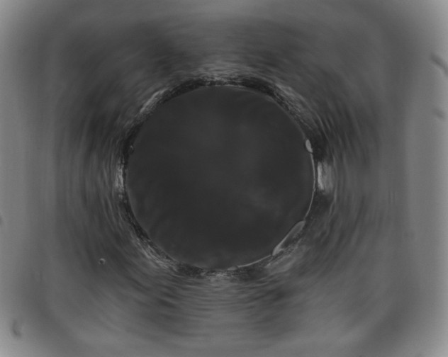X0000098131155200804241642