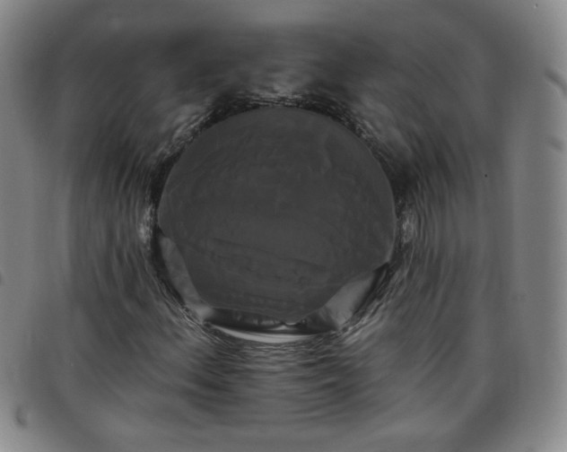 X0000098131156200804241642