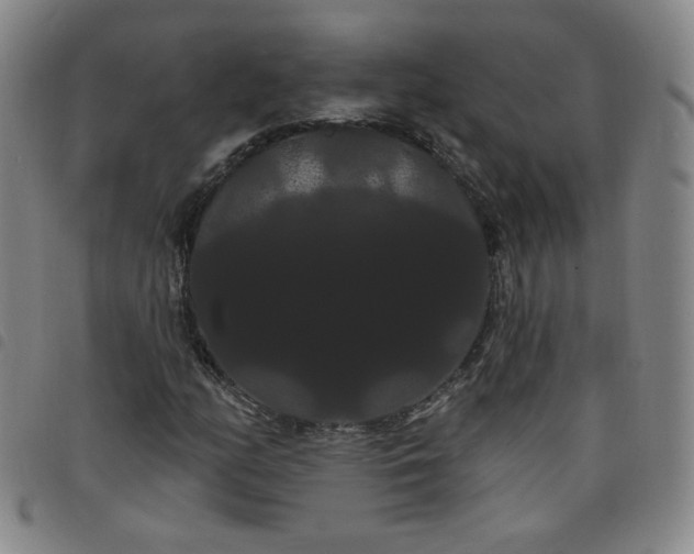X0000098131158200804241642