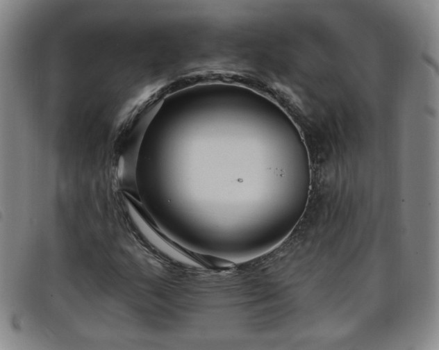 X0000098131159200804241642
