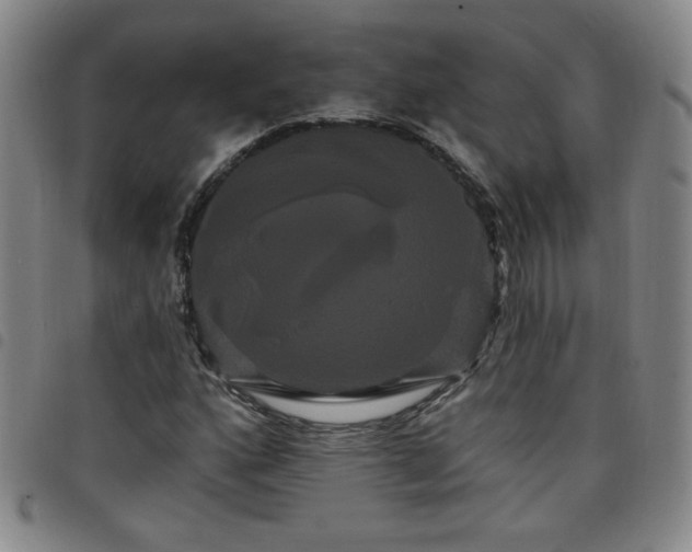 X0000098131160200804241642