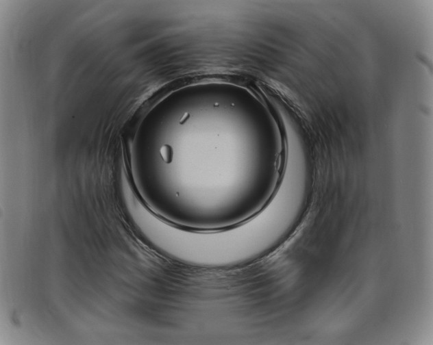 X0000098131161200804241642