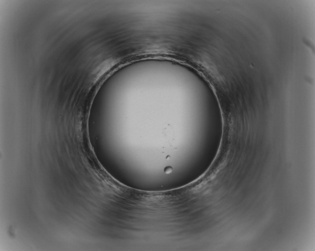 X0000098131162200804241642