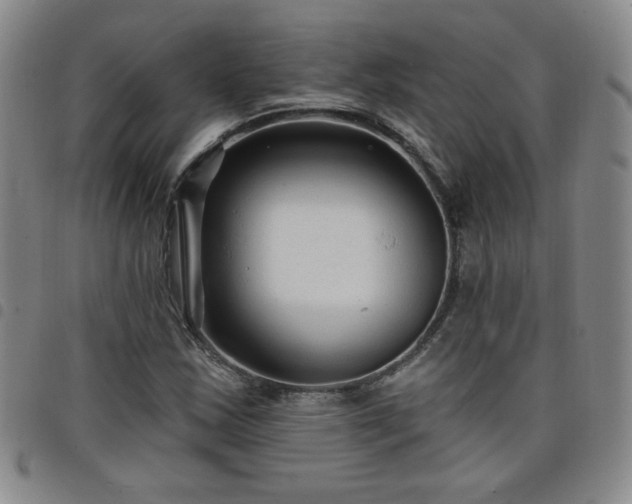 X0000098131163200804241642
