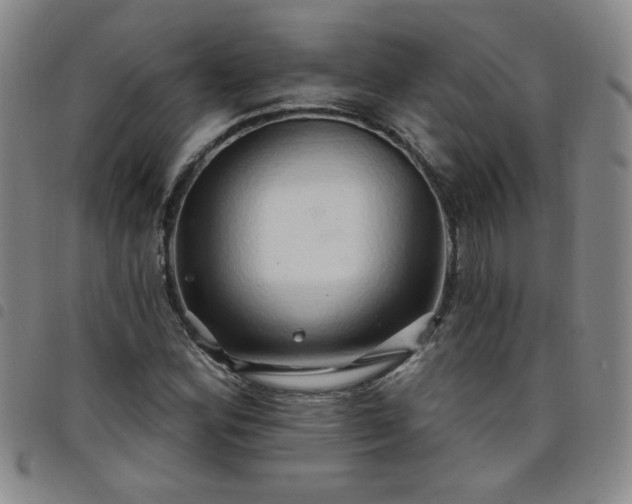X0000098131164200804241642