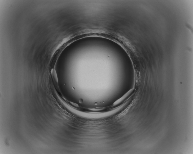 X0000098131165200804241642