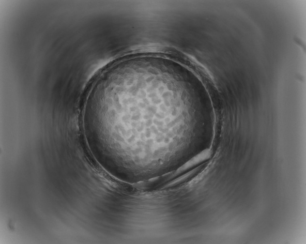 X0000098131166200804241642
