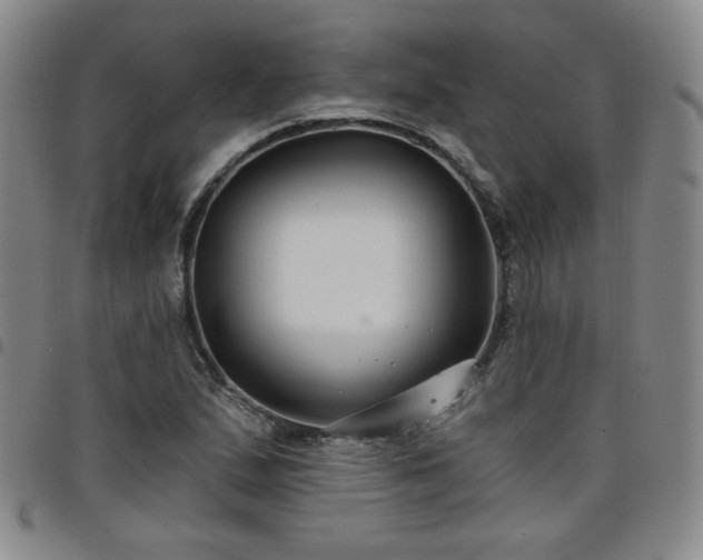 X0000098131167200804241642