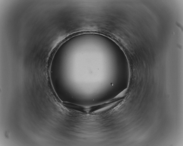 X0000098131168200804241642