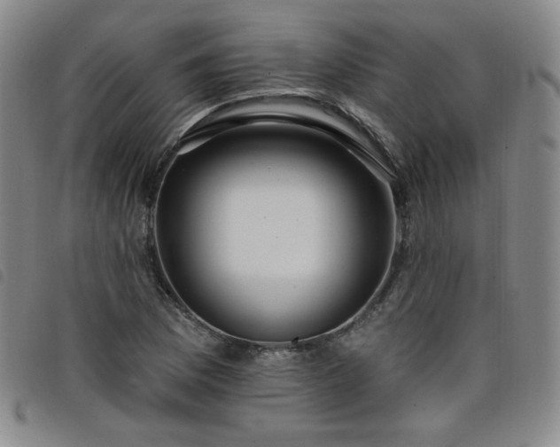 X0000098131169200804241642