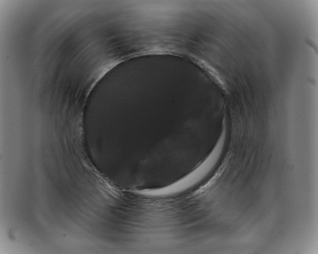 X0000098131170200804241642