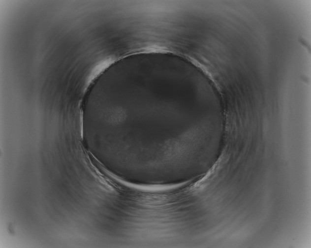 X0000098131171200804241642