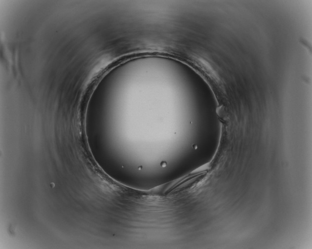 X0000098131172200804241642