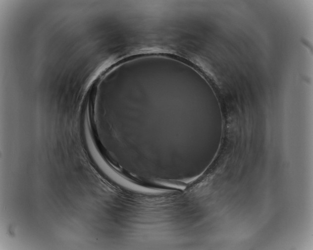 X0000098131173200804241642