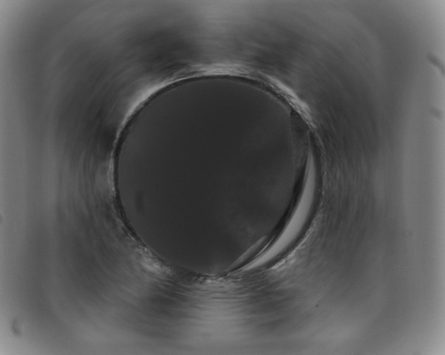 X0000098131174200804241642
