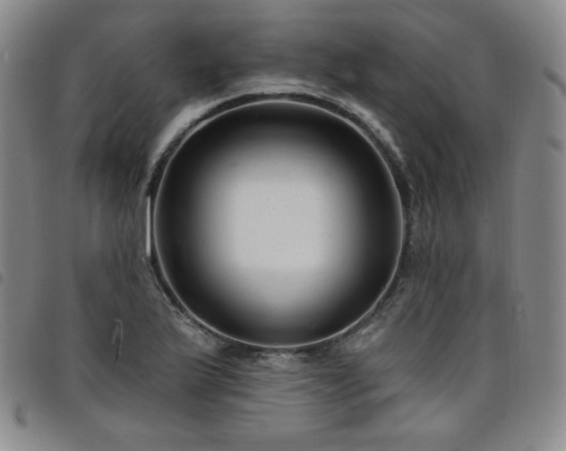 X0000098131175200804241642