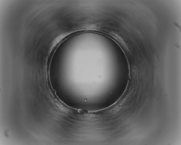 X0000098131176200804241642