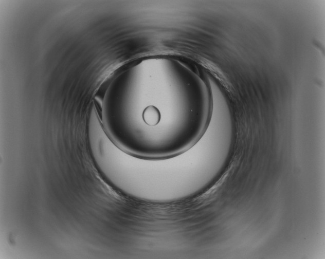 X0000098131177200804241642