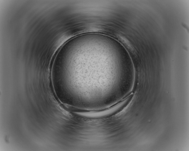 X0000098131178200804241642
