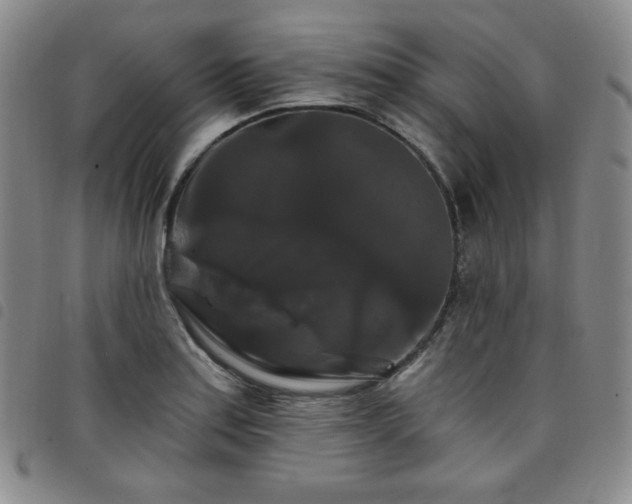X0000098131179200804241642