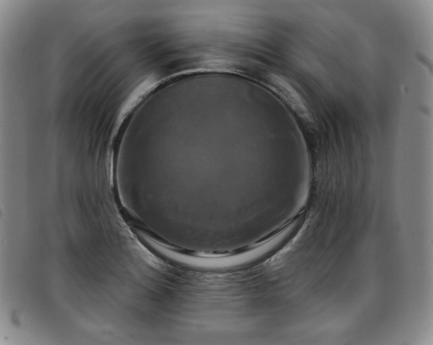 X0000098131180200804241642