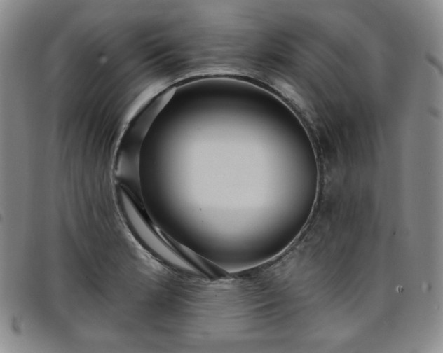 X0000098131181200804241642