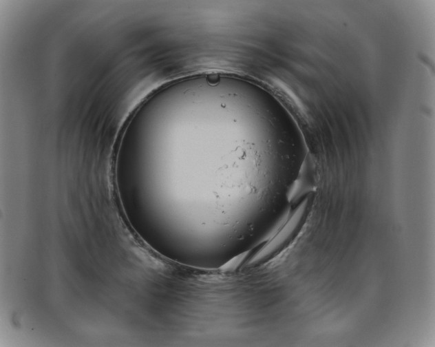 X0000098131182200804241642