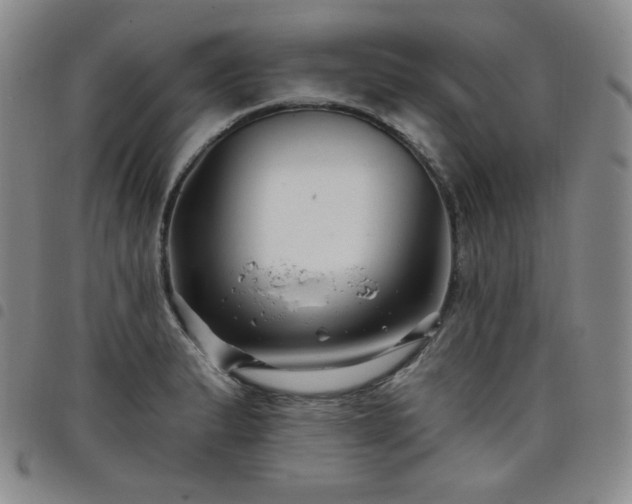 X0000098131183200804241642