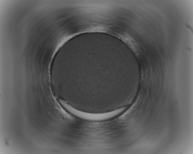 X0000098131184200804241642