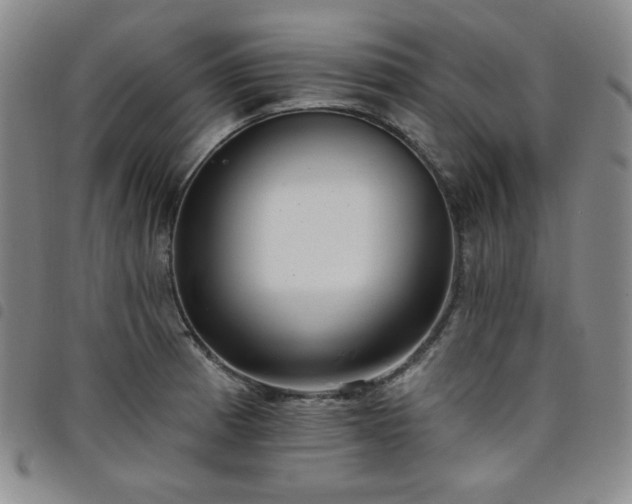 X0000098131185200804241642