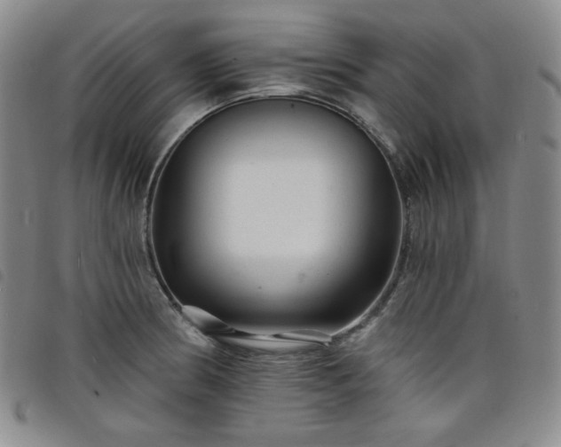 X0000098131186200804241642