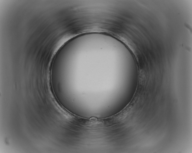 X0000098131187200804241642