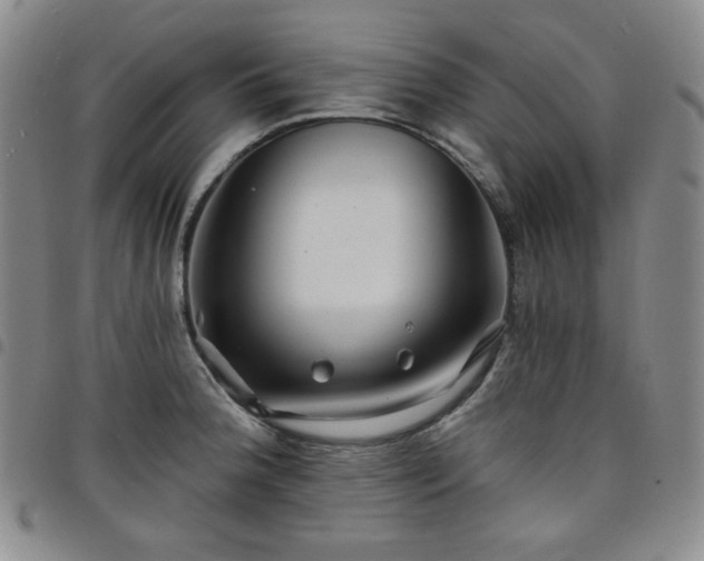 X0000098131188200804241642