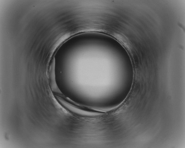 X0000098131189200804241642