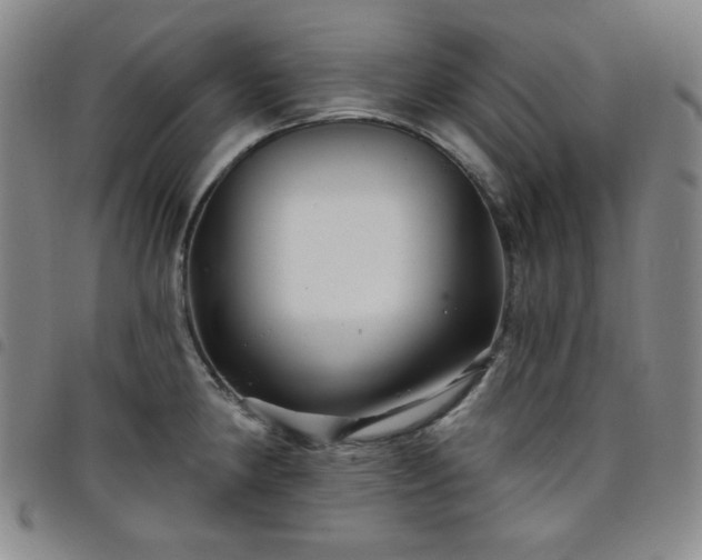 X0000098131190200804241642