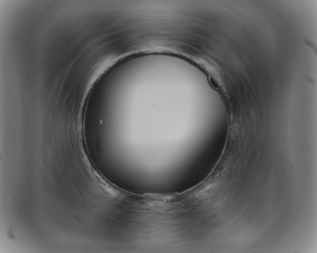 X0000098131191200804241642