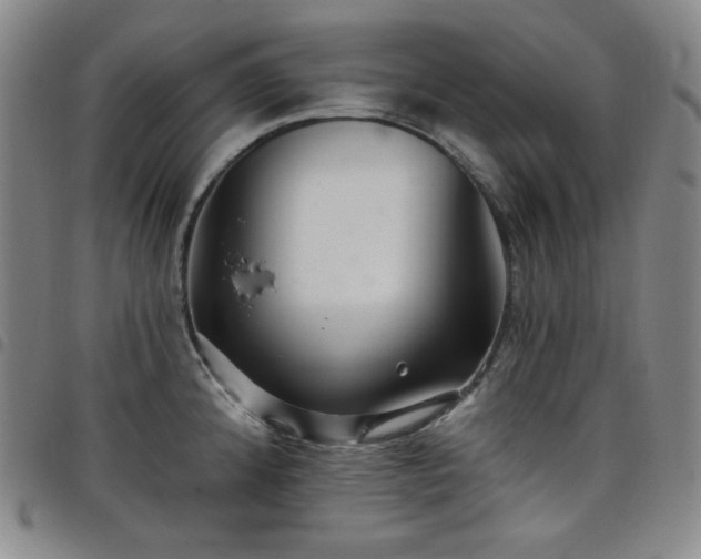 X0000098131192200804241642