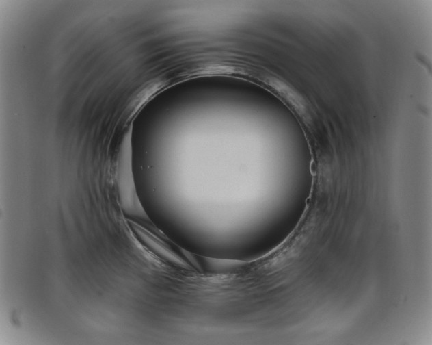 X0000098131193200804241642