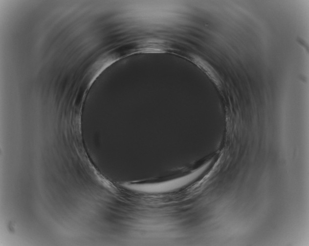 X0000098131194200804241642
