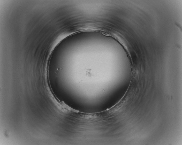 X0000098131195200804241642