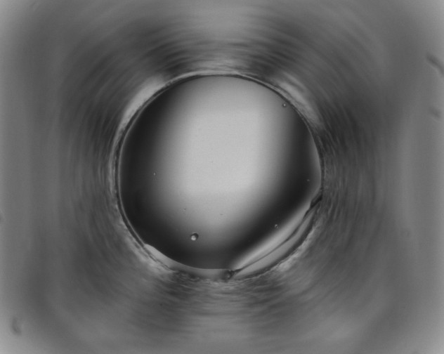 X0000098131196200804241642