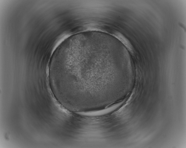X0000098131198200804241642
