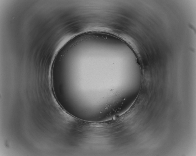 X0000098131199200804241642