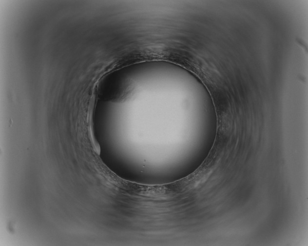 X0000098131201200804241641