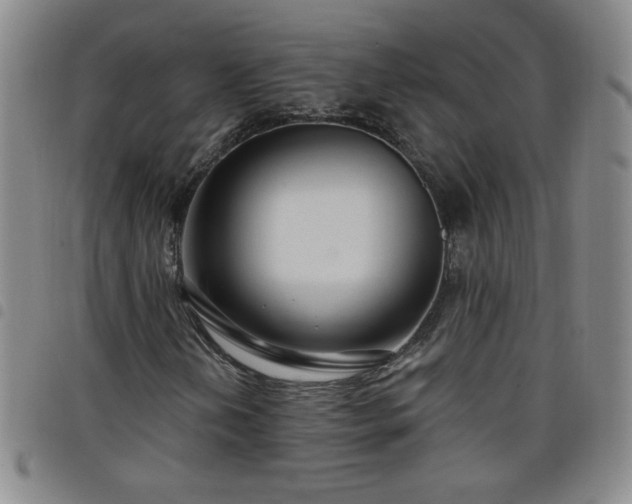 X0000098131202200804241641